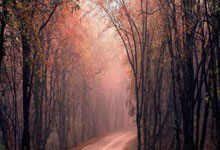 开云体育：向鹏3-0力克奥玛-阿萨尔，晋级WTT仁川冠军赛男单16强.