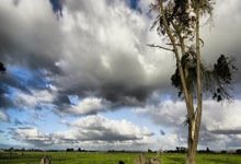 中超赛博幽灵 北京国安有王子铭 申花有于汉超.