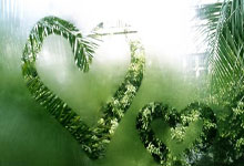 三分球超越米勒成為歷史第五名 克萊表示一生的投籃訓練都值得.